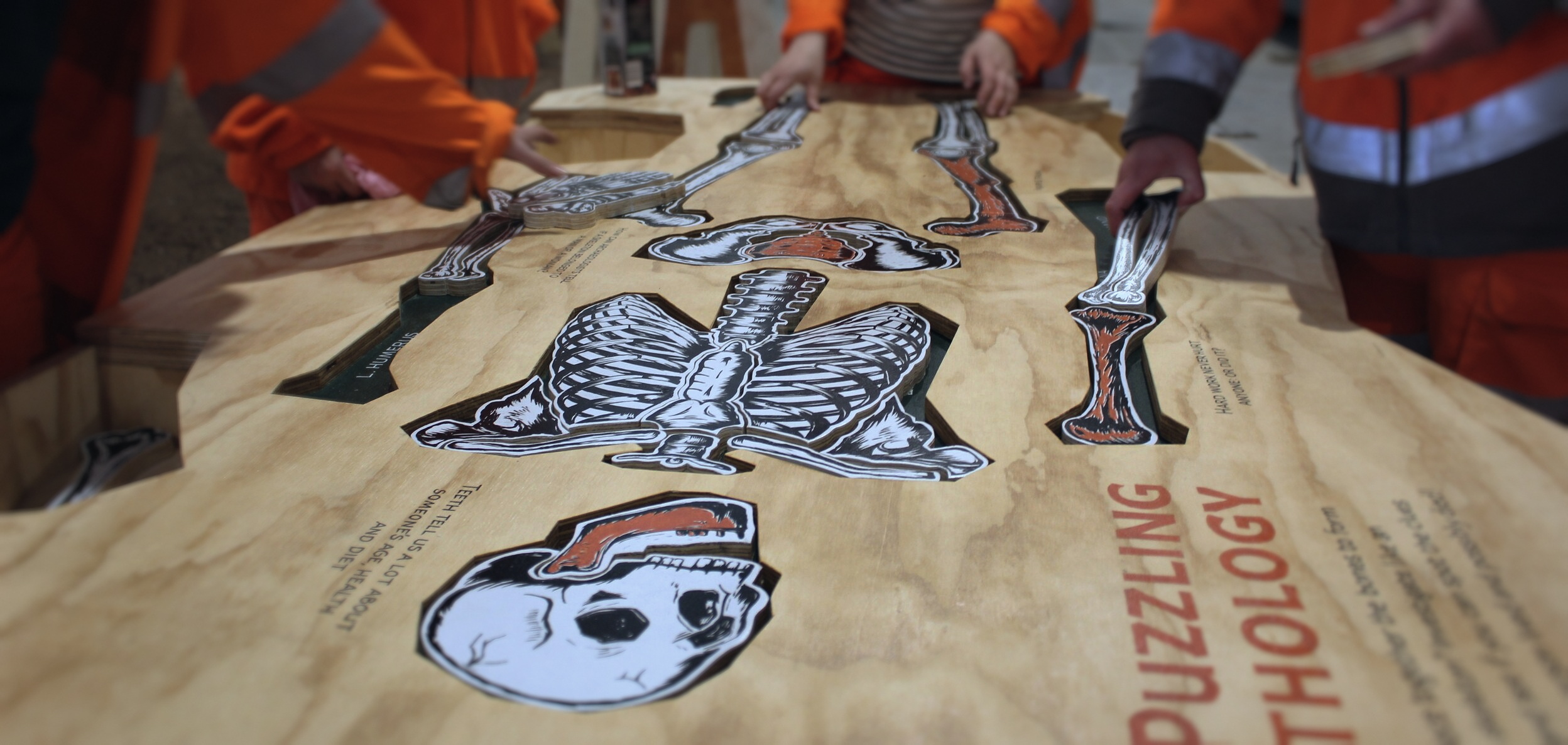 Site team in hi-vis assembling the plywood pathology table, a printed skeleton across it.