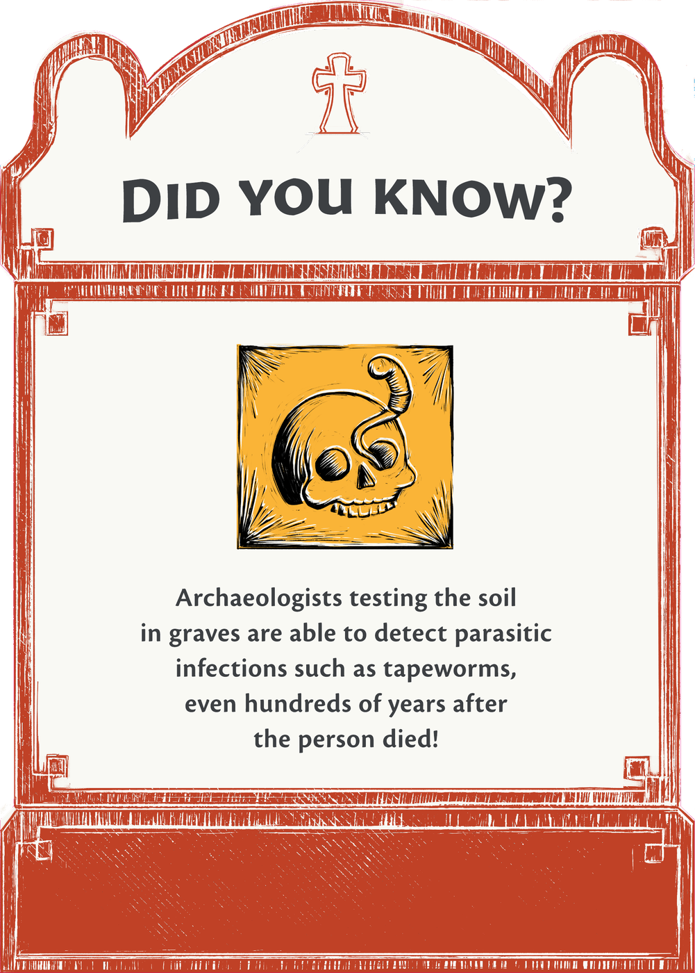 Did You Know? panel in an arched frame.