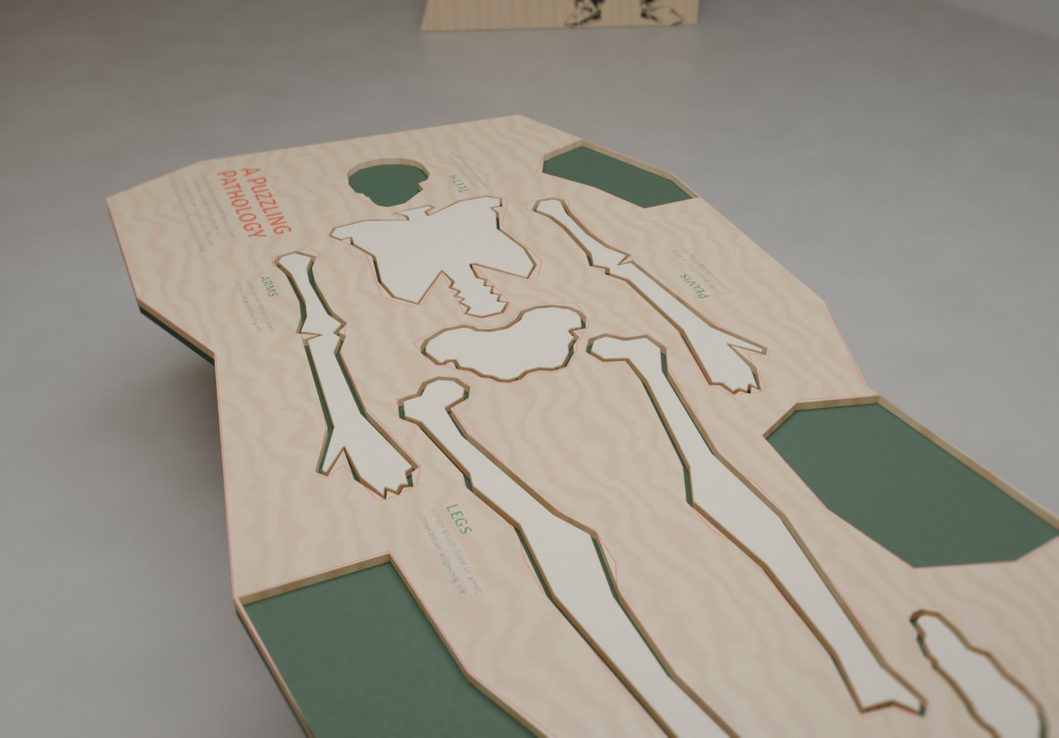 Render of the plywood pathology table.