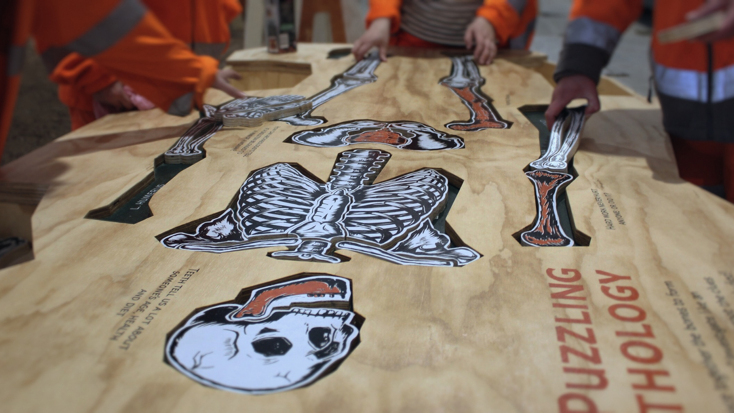 The pathology table, a printed skeleton on plywood, Puzzling Pathology.